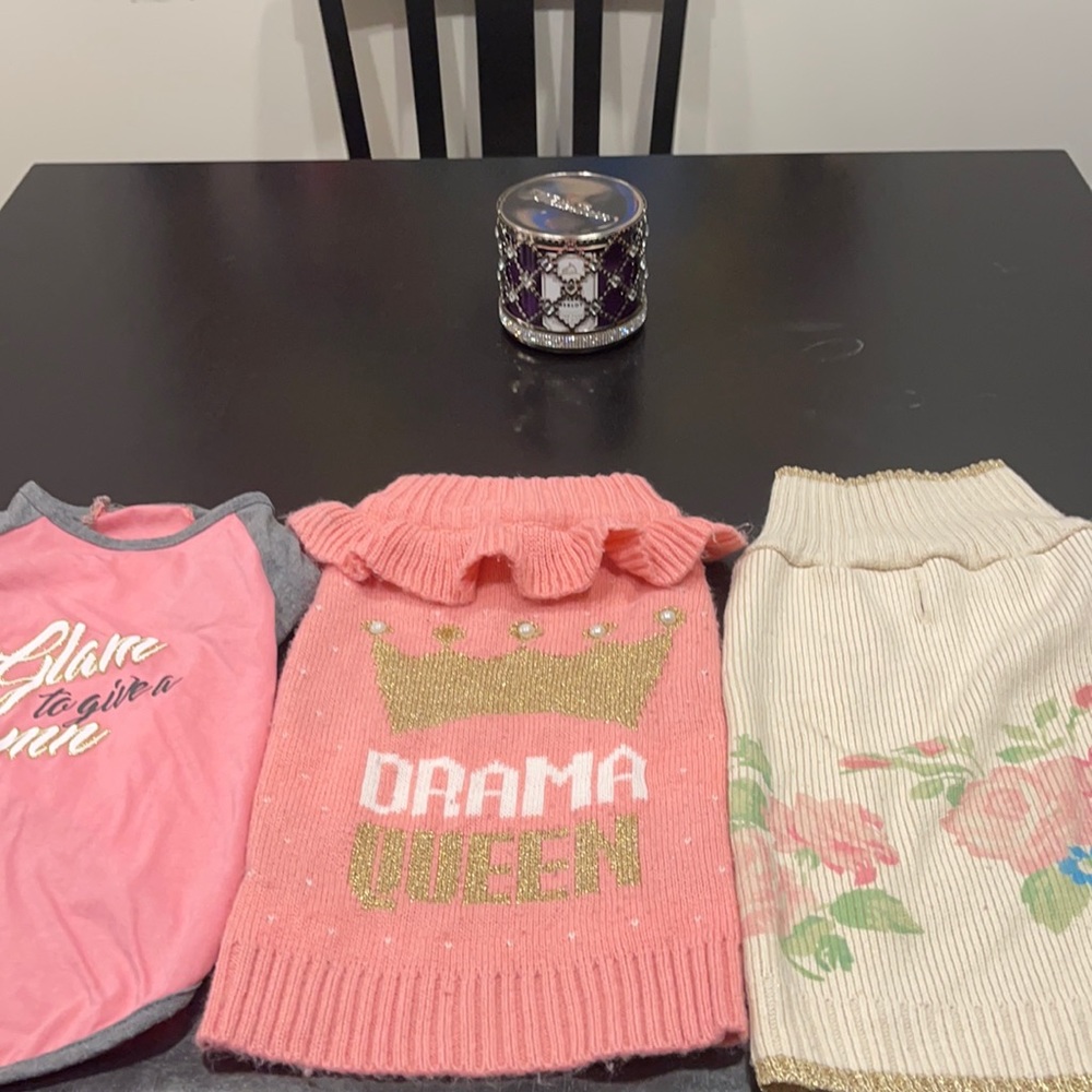 dog apparel